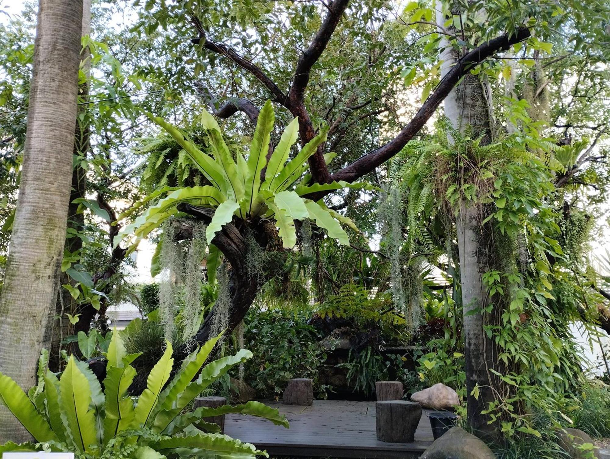 Sareeviengping Hotel Chiangmai — Photos 1