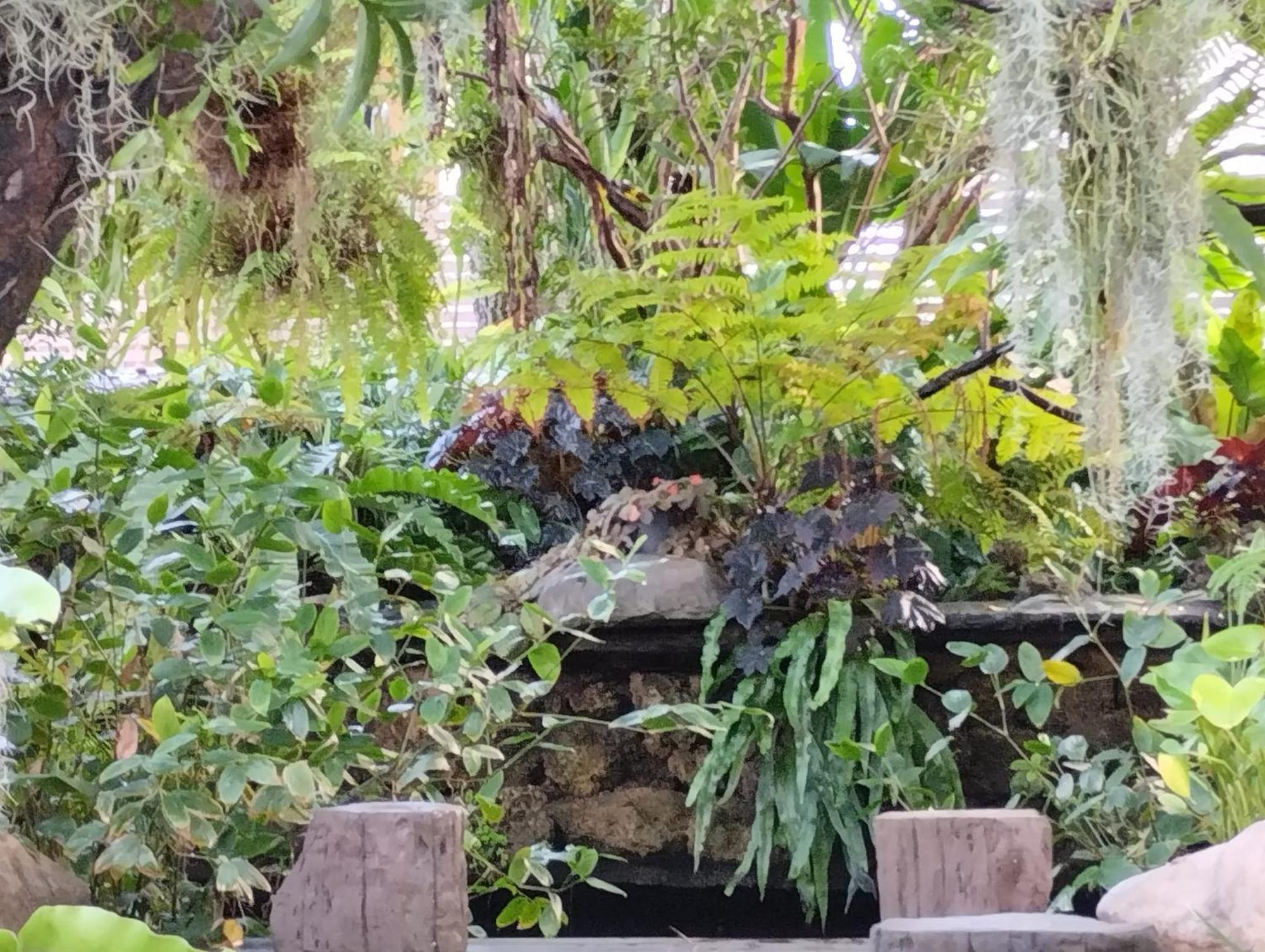 Sareeviengping Hotel Chiangmai, Chiang Mai